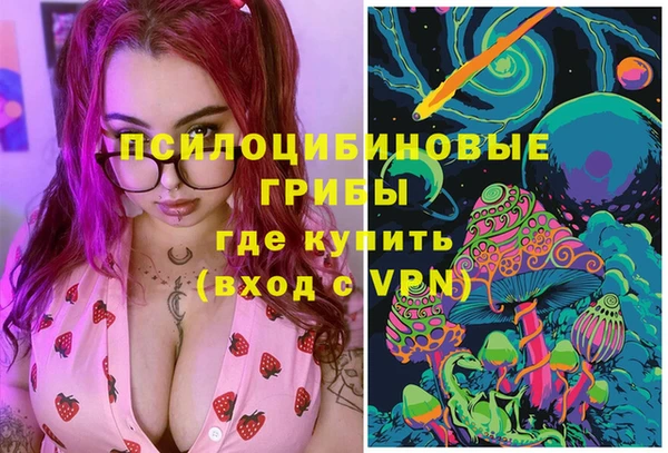 спиды Аркадак