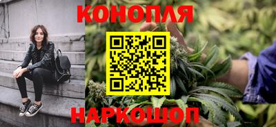 прущие грибы Кунгур
