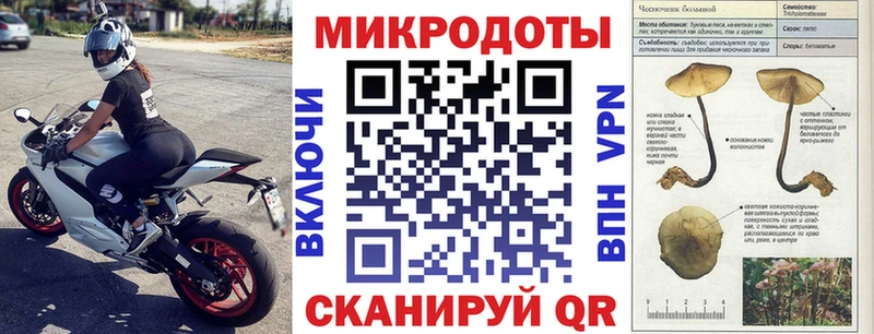 Галлюциногенные грибы GOLDEN TEACHER  наркошоп  Коряжма 