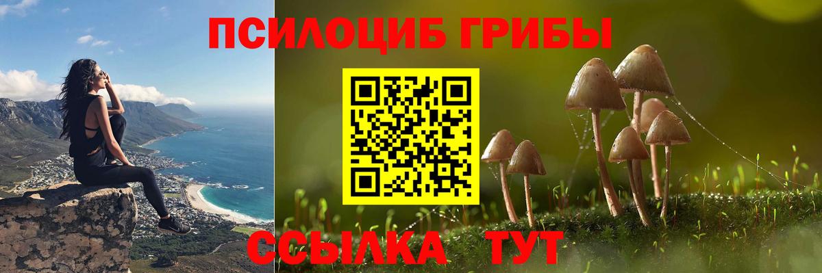 Коряжма  Галлюциногенные грибы Cubensis  Вход с VPN 