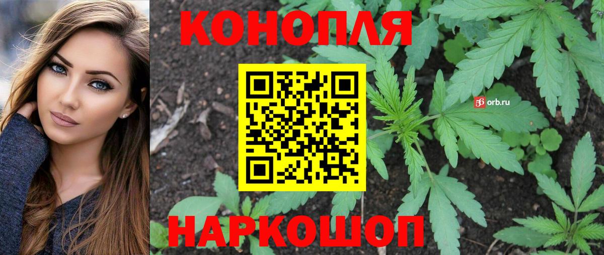 Бошки марихуана ГИДРОПОН Коряжма